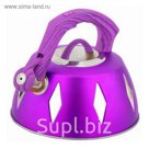 Чайник металлический 2,8л De Luxe, цвет МИКС