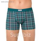 Трусы муж. DW SHAPE MSH 702, р.94,98, turquoise
