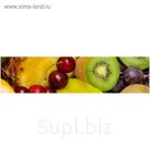 Фартук ХДФ Фреш 610х2440х3мм