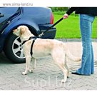 Автомобильный ремень безопасности Trixie для кошки, 20-50 см.