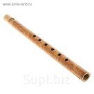 Музыкальный инструмент Флейта