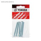 Винт DIN965 TUNDRA krep, с потайной головкой, М6х60 мм, оцинкованный, 5 шт.