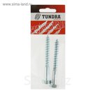 Болт сантехнический DIN 571 TUNDRA krep, 10х90 мм, цинк,в пакете 2 шт.