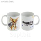 Кружка "Малыш с характером", c нанесением