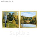 Модульная картина в раме "Прогулка на природе" рама микс