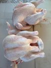 Мясо индейки в тушках и разделке