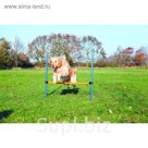 Набор для аджилити Trixie Jump , 1,29м х 1,15м, пластик