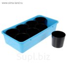 Набор для рассады: стаканы - 8 шт. по 400 мл, поддон 40 х 20 см, чёрно-голубой