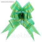Бант-бабочка №3 "Золотые полосы", цвет зелёный