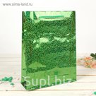 Пакет голографический, зелёный, рисунок МИКС, 26 х 8 х 34 см