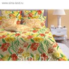 Постельное бельё «Голландия беж/3» евро, размер 220х240, 200х220, 70х70-2 шт., 50х70-2 шт., бязь 142 г/м²