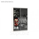 Шкаф-купе 2-дверный Slide London, 1200х600х2200 мм, стекло, цвет белый