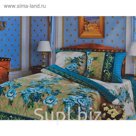 Постельное бельё Артпостель "Гобелен синий" 2 сп., размер 175х217см, 200х220 см, 70х70 см - 2 шт.