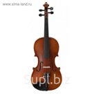 Скрипка Strunal 160-4/4 студенческая 4/4