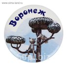Значок закатной «Воронеж»