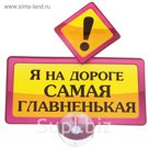 Табличка на присоске "Я на дороге самая главненькая"