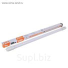 Лампа светодиодная Jazzway, T8, G13, 10 Вт, 6500 K, PLED T8-600PL