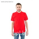 Футболка поло мужская арт.PM0110301031StandartL, цвет красный, р-р 46-48 (M)