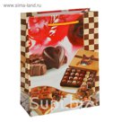 Пакет подарочный "Шоколад", 32 х 11 х 44 см