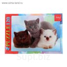 Пазлы "Три котенка", 120 элементов