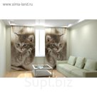 Фотошторы "Дымчатый котёнок", размер 150х260 см, блэкаут