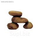 Декоративная Комп. ArtUniq Round Stones C - Округлые камни, 17x9,7x9,3 см