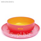 Набор посуды Suavinex BOOO, от 4 мес., тарелка + миска