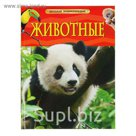 Детская энциклопедия «Животные»