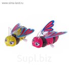 Игрушка заводная "Бабочка", МИКС