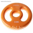Диск виниловый с двойным хватом, 2,5 кг, d=30 мм