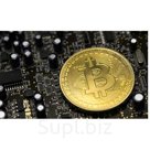 Консультации КриптоВалютные