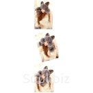 Женская шапка с ушками и помпонами. Материал: шерсть, акрил. Помпоны выполнены из искусственного меха.