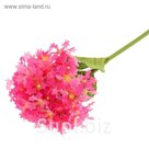 Цветы искусственные "Алиссум" розовый