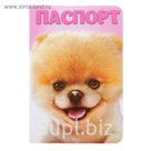 Обложка для паспорта "Шпиц"