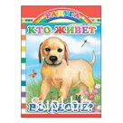 Кто живет во дворе