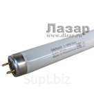 Лампа L 18 W/765 (дневной белый) "Osram" (25шт. в упаковке)
