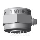 Accelerometer 1C401HB-300