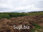 Продается коровий навоз с фермы. Предпочти́тельный вид продажи самовывозом в больших объемах.