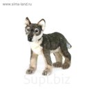 Игрушка «Щенок волка стоящий, 30 см