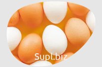 Яйцо куриное кремовое и белое