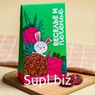 Льняное печенье «Веселье», вкус яблоко и малина, 60 г. БЕЗ САХАРА И ГМО