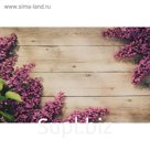 Фотофон винил "Доски с сиренью" 80х125 см