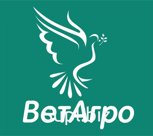 Антисептический ветеринарный препарат Йотоин 200 мл