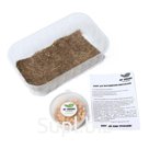 Набор для выращивания микрозелени My Greens, Горох (50 г), лоток, джутовый коврик