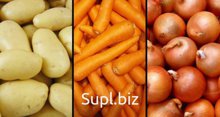 Овощи оптом от 500 кг
ЦЕНА УКАЗАНА С ДОСТАВКОЙ В МОСКВУ 

▶️ Картофель:
Свежий - 19 руб/кг ♻️ Очищенный - 45 руб/кг
▶️ Морковь:
Свежая - 20 руб/кг ♻️ Очищенная…