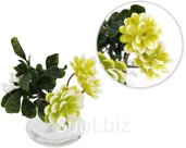Decorative plant Succulents in a vase Size: 13x13x16.5 cm Color: green