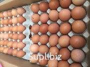 Яйцо куриное С1 и С0 - осуществляем доставку по городу Новосибирску от коробки. Доставка фурами по России и СНГ. Погрузка на а/м со склада птицефабрик с дальне…