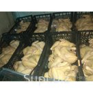 Замороженные тушки птицы