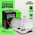 Набор для опытов «Оловянное дерево»