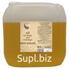 Deluxspa. Body oil and massage "Mint breeze", 3 l.